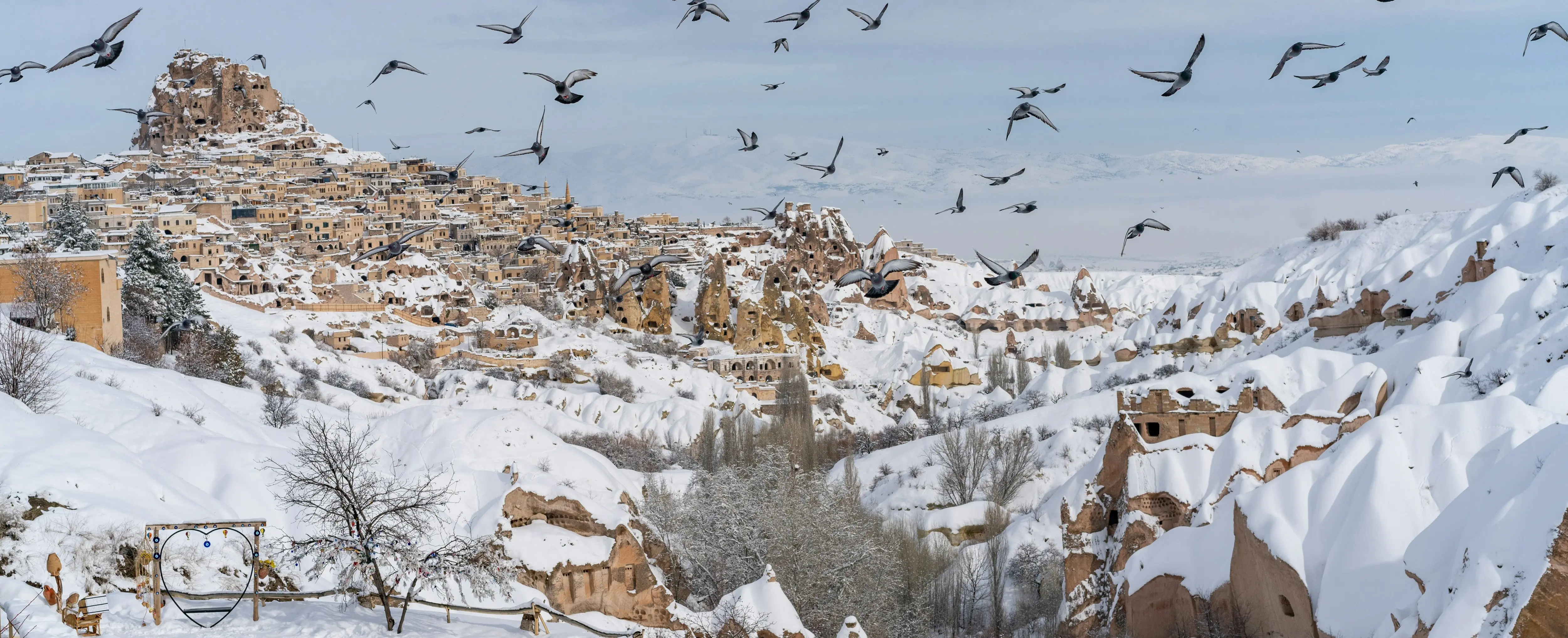 Pigeon Valley