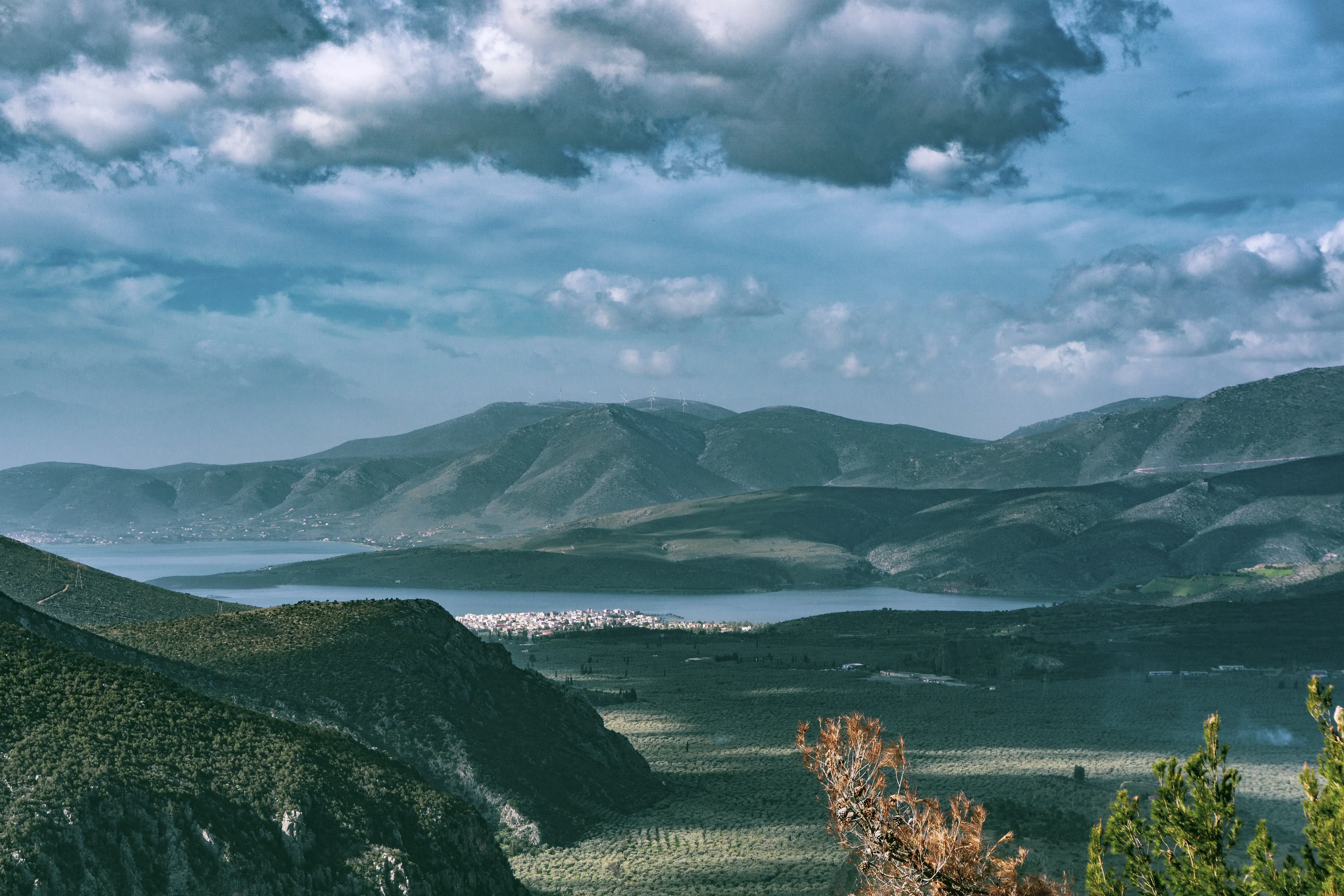 Delphi
