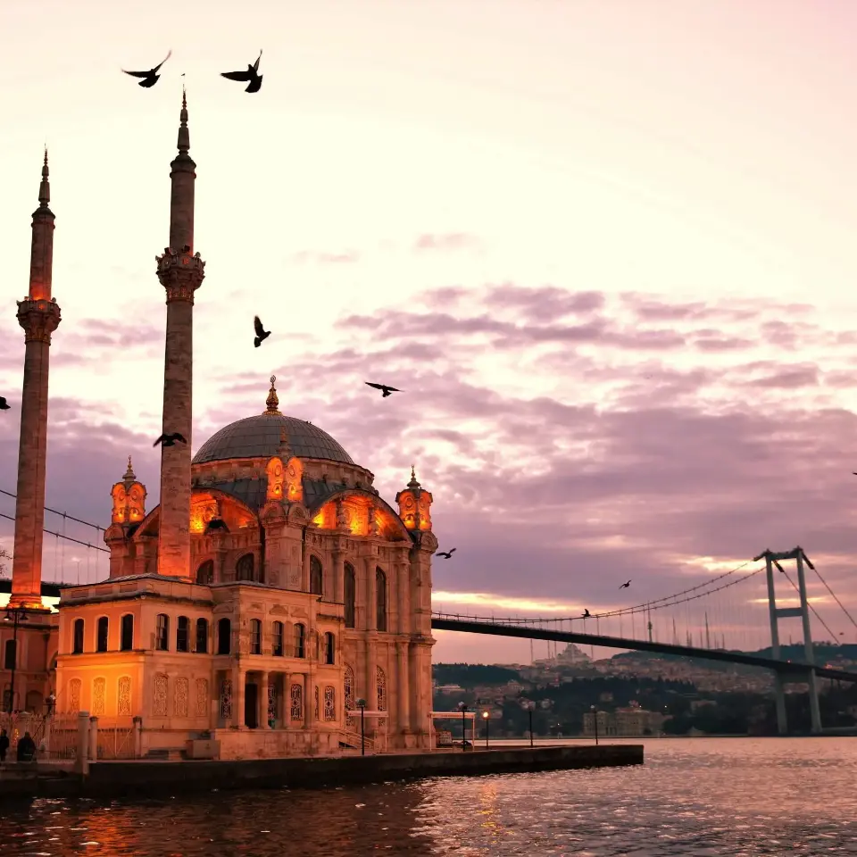 Fantastic Turkey