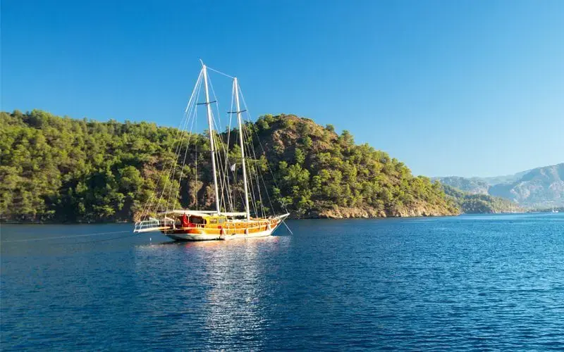 All About Turkey