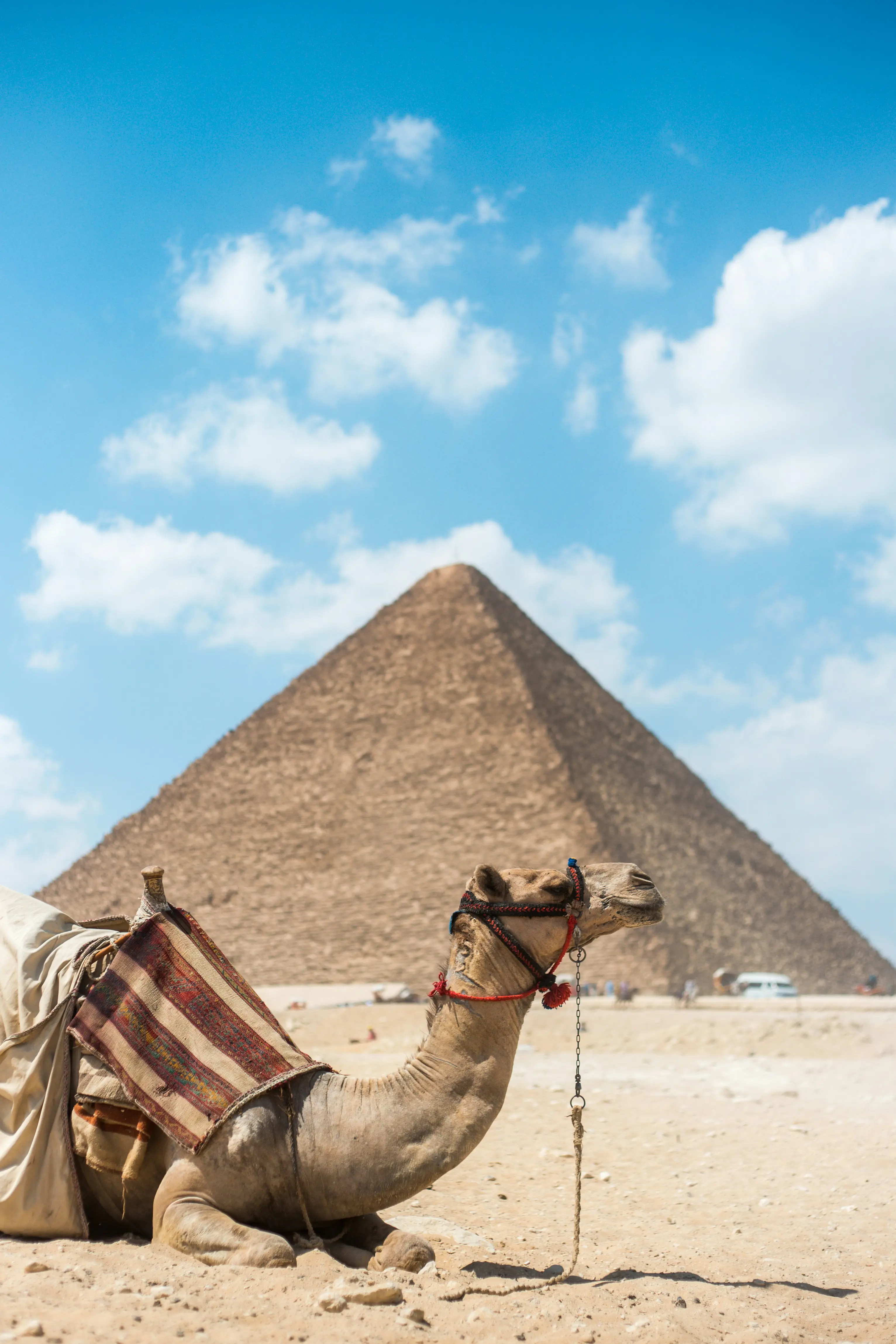 Day 5: Nile Cruise - Edfu - Komombo - Aswan