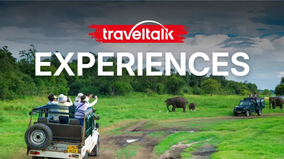 What does a Travel Talk tour look like?