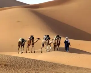 Zagora