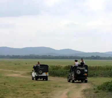 Minneriya National Park