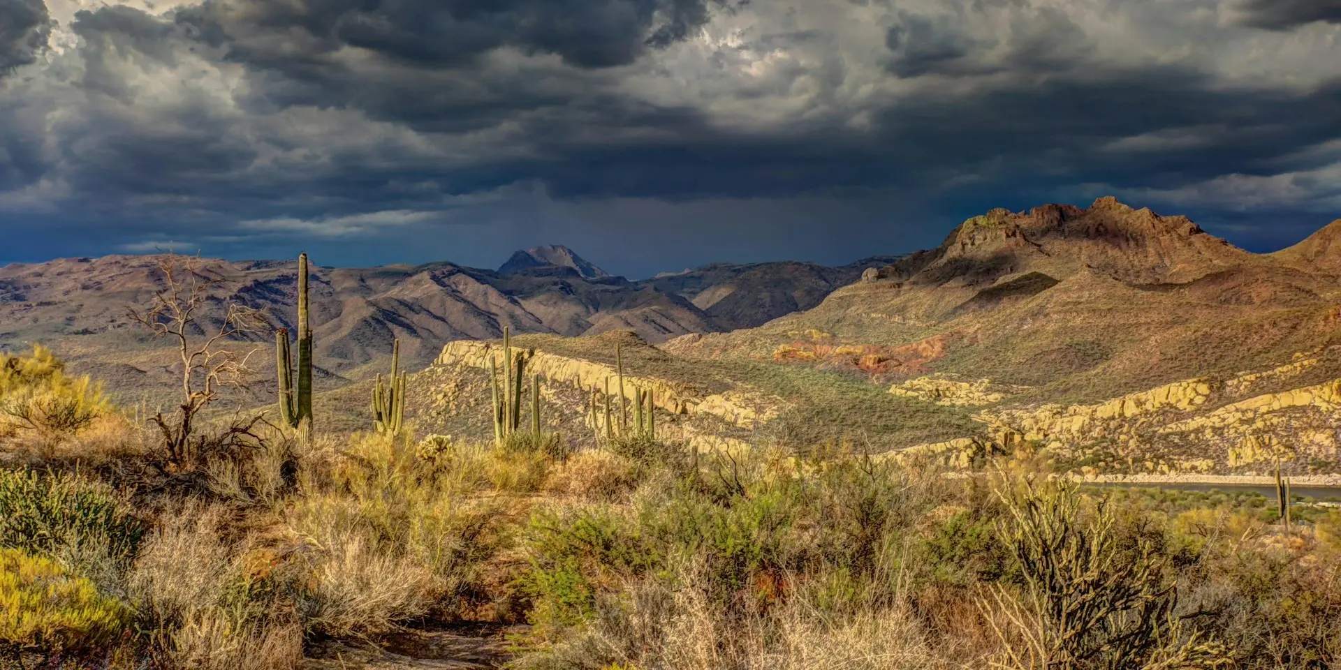 Sonoran Desert