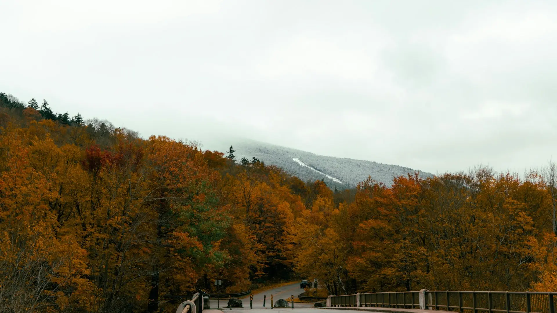 White Mountains - Panoramic