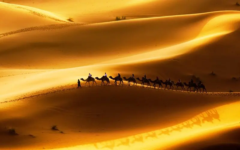 Classic Morocco (Small Group)