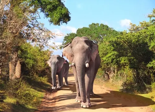 Complete Sri Lanka
