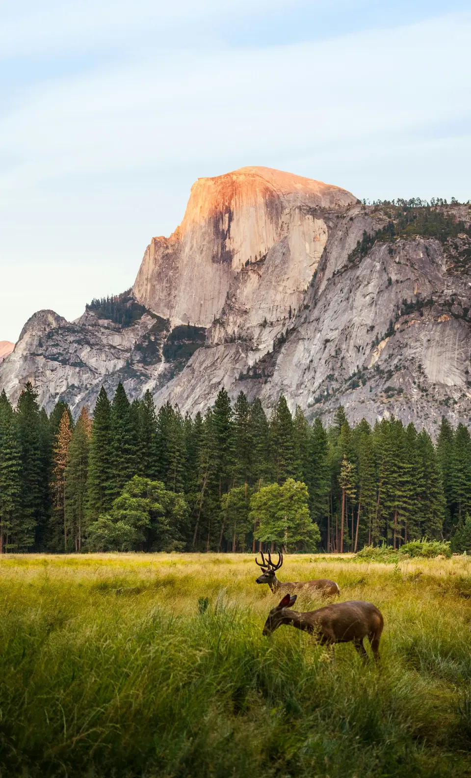 Western Landscapes