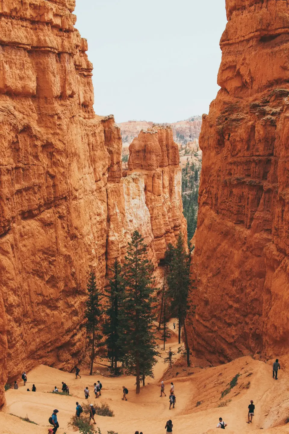 Western Trails