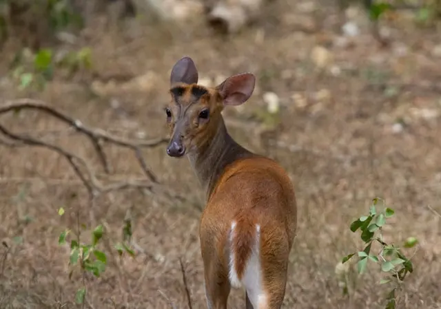 Complete Sri Lanka