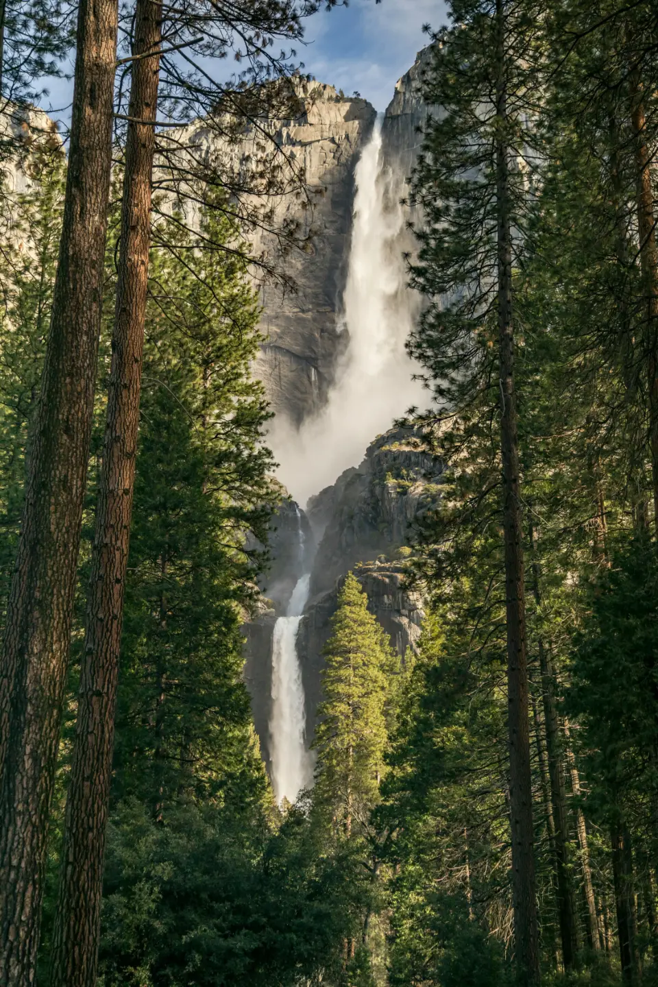Western Discovery