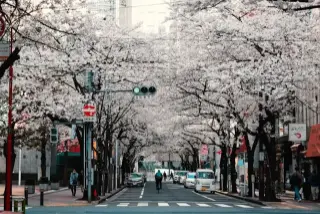 Day 2: Tokyo