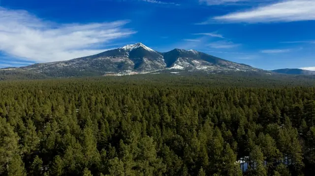 Day 15: Flagstaff – Seligman/Route 66 – Las Vegas