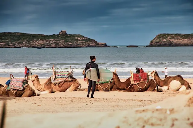 Day 13: Essaouira