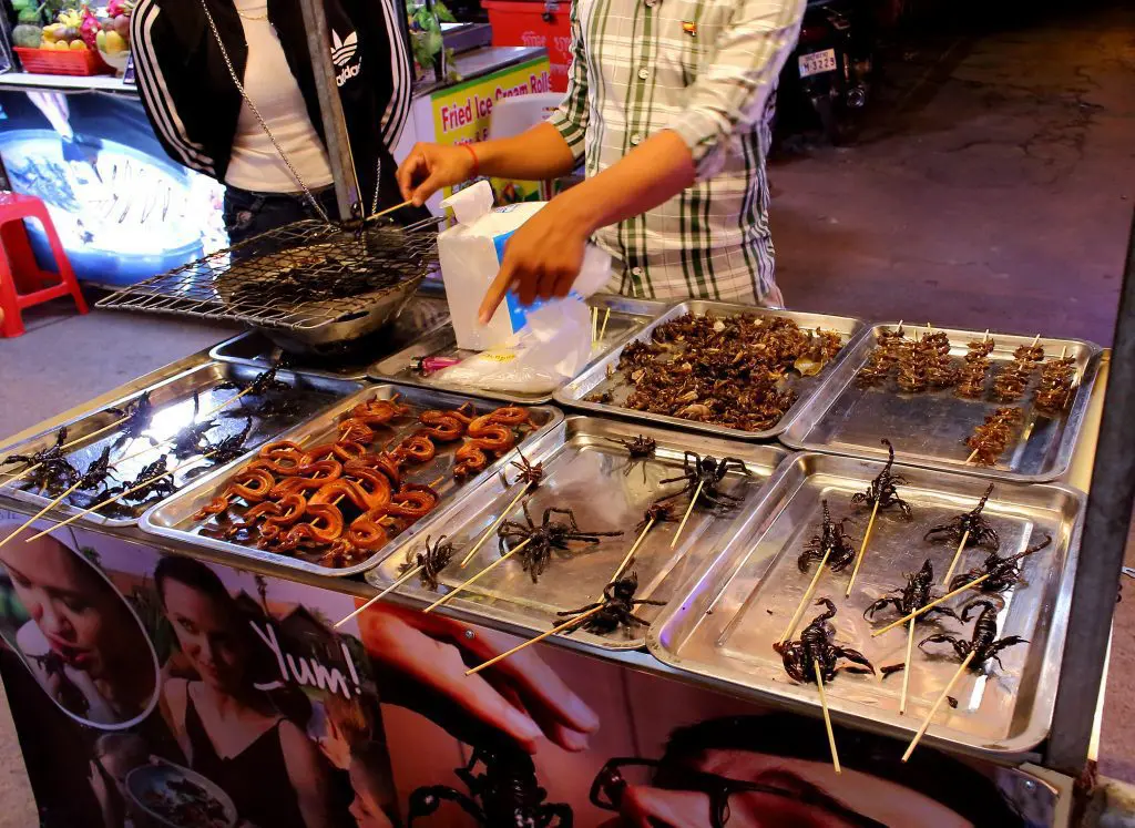 taste edible insects in cambodia