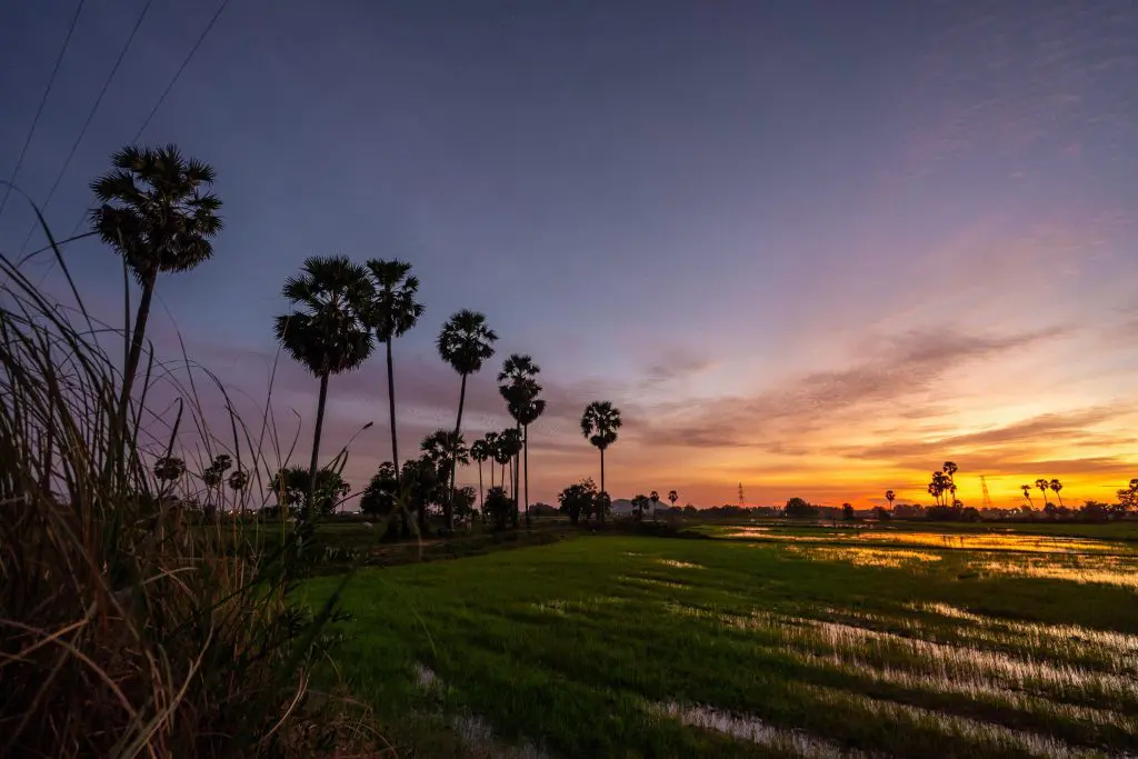 Why is Angkor Wat Important?