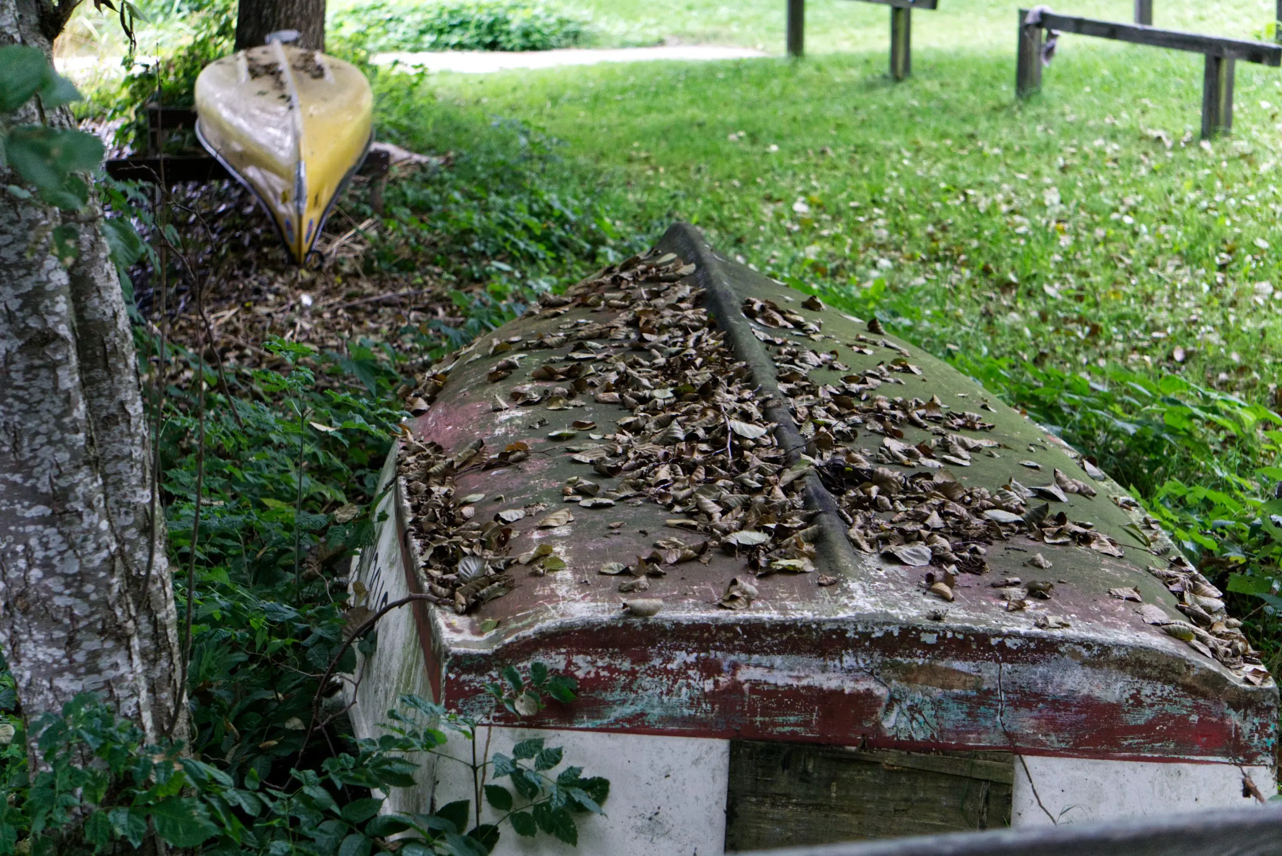 visit-bukit-brown-cemetery