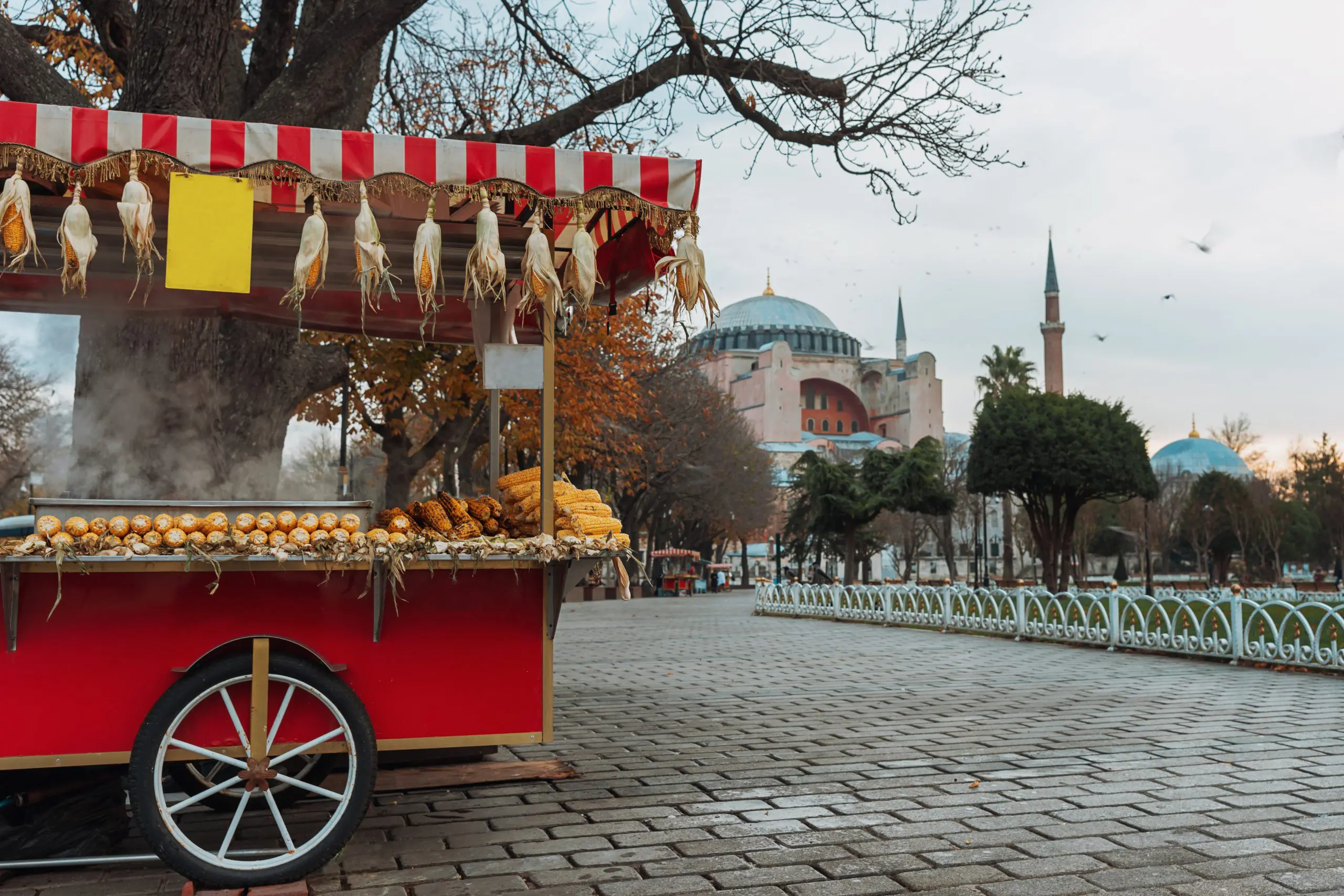 A Culinary Journey Through the Street Food in Istanbul