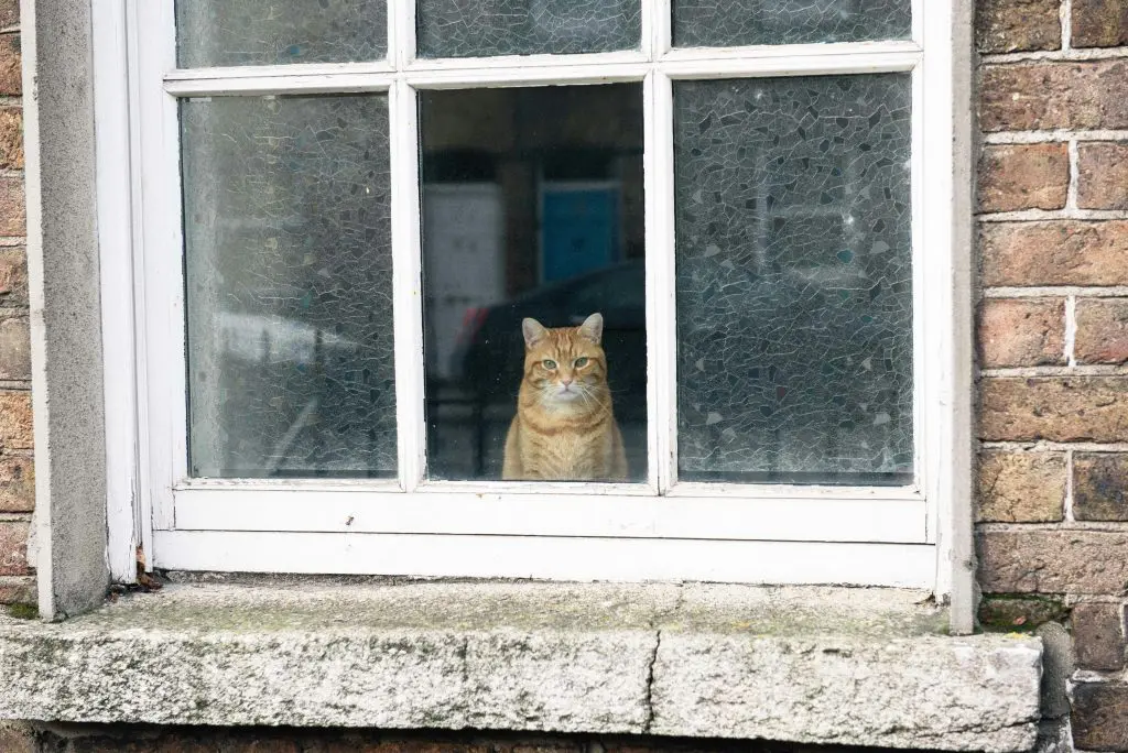 stoneybatter dublin