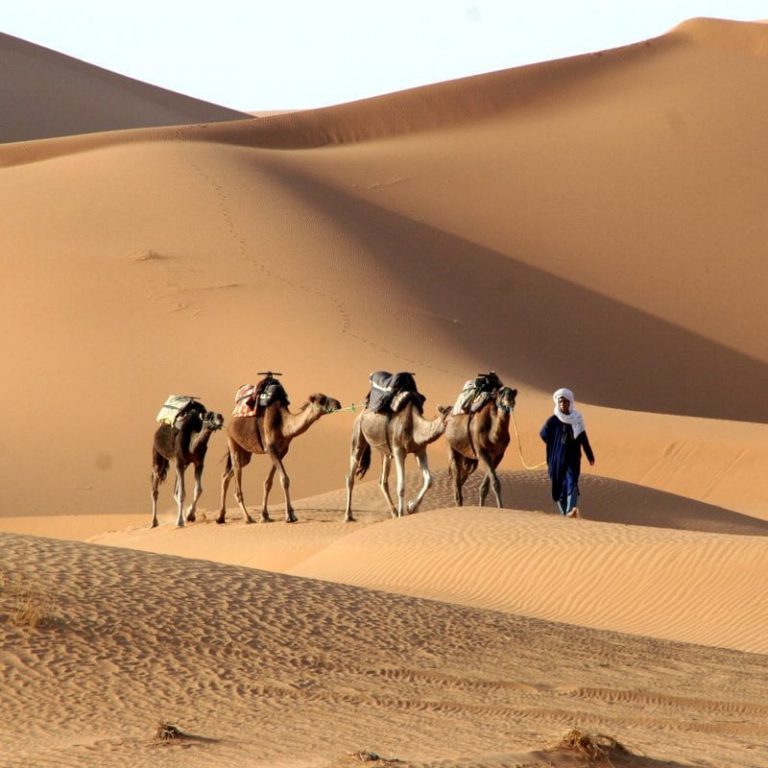 adventure morocco travel talk