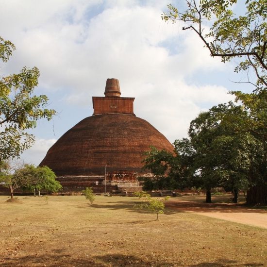 Splendours Of Ceylon 