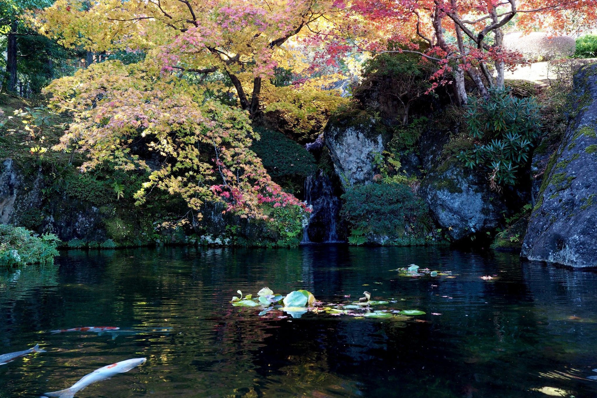 Hakone - Travel Talk Tours