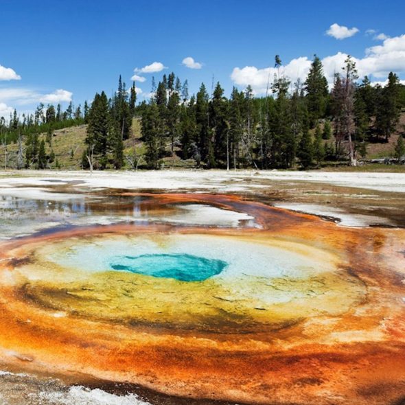 Best USA Tours Holidays 2024 25 Travel Talk Tours   Yellowstone National Park 1 Scaled E1671445588200 590x590 