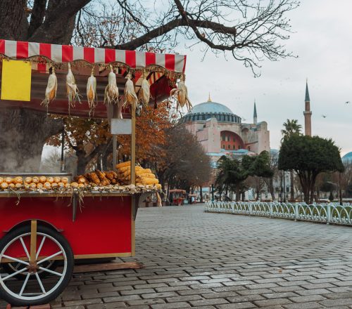 A Culinary Journe Through the Street Food in Istanbul