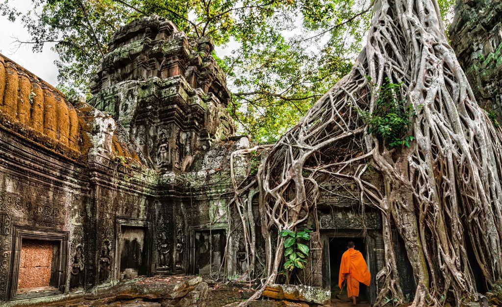 visit-ta-prohm-angkor